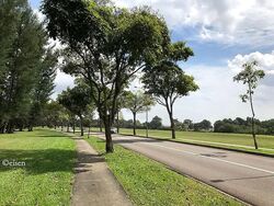 Holland Green (D10), Detached #569192471